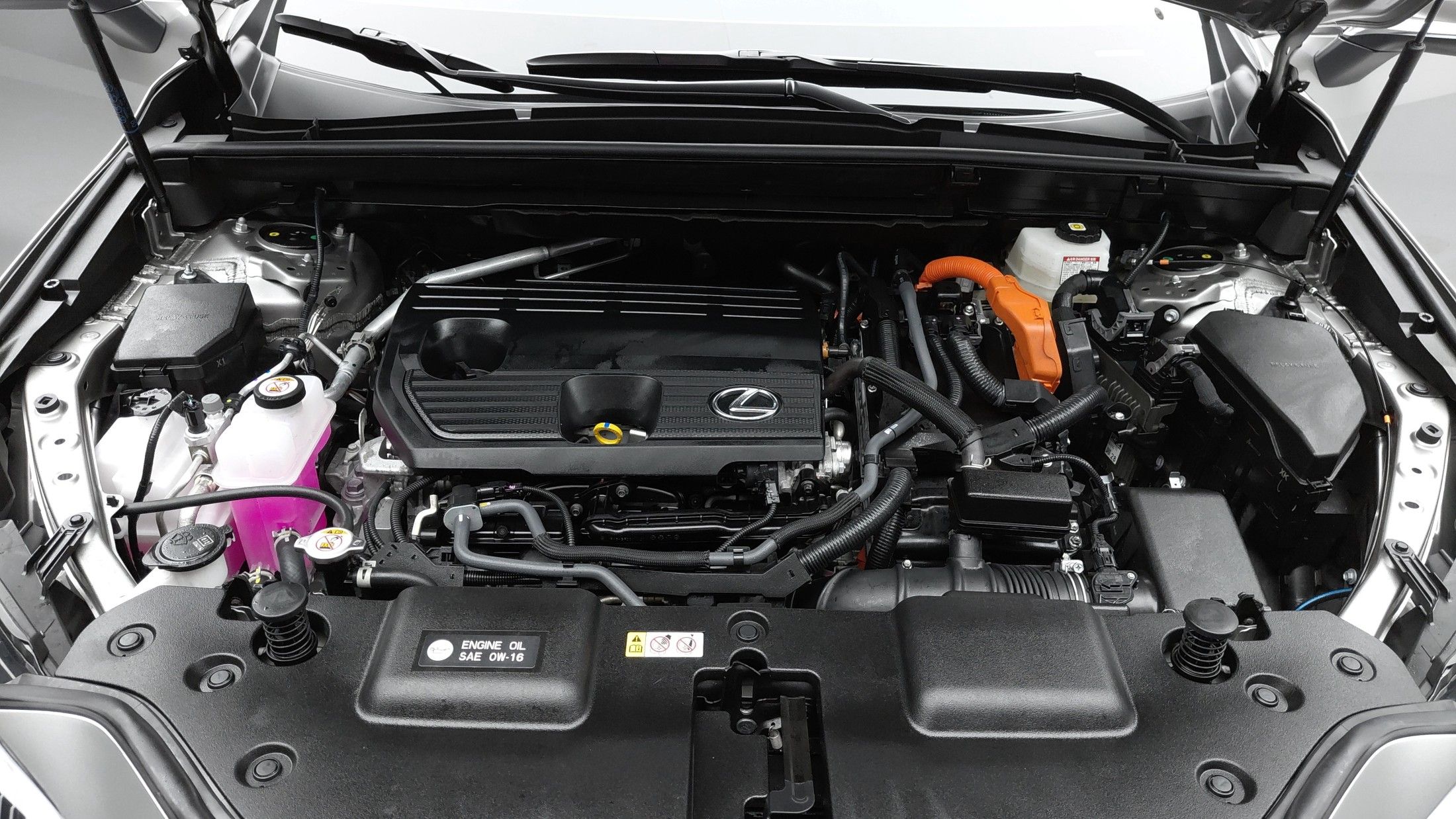 LEXUS NX350H 2024