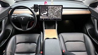 TESLA MODEL 3 2020