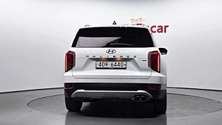 HYUNDAI PALISADE 2019