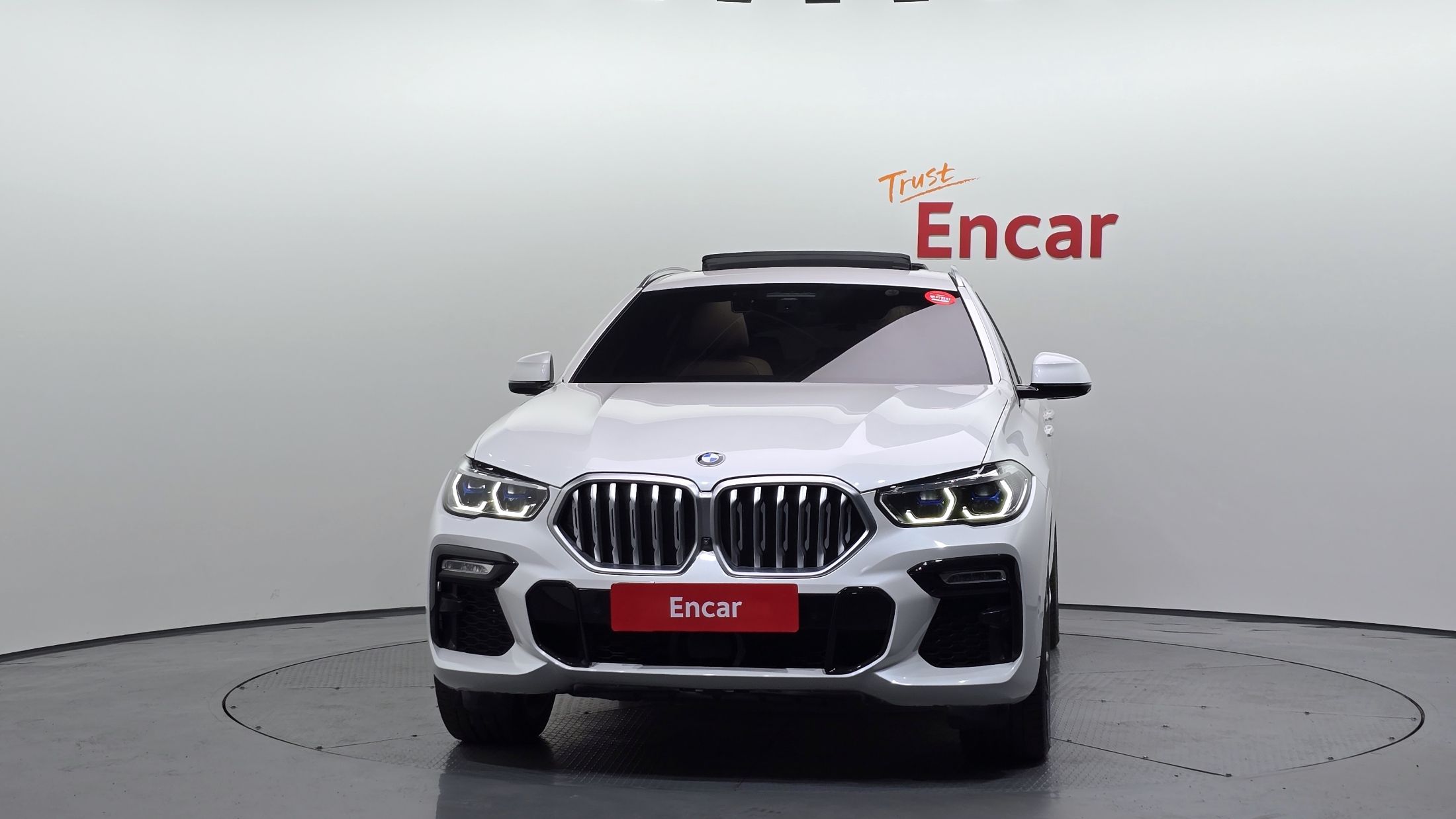BMW X6 G06 2021