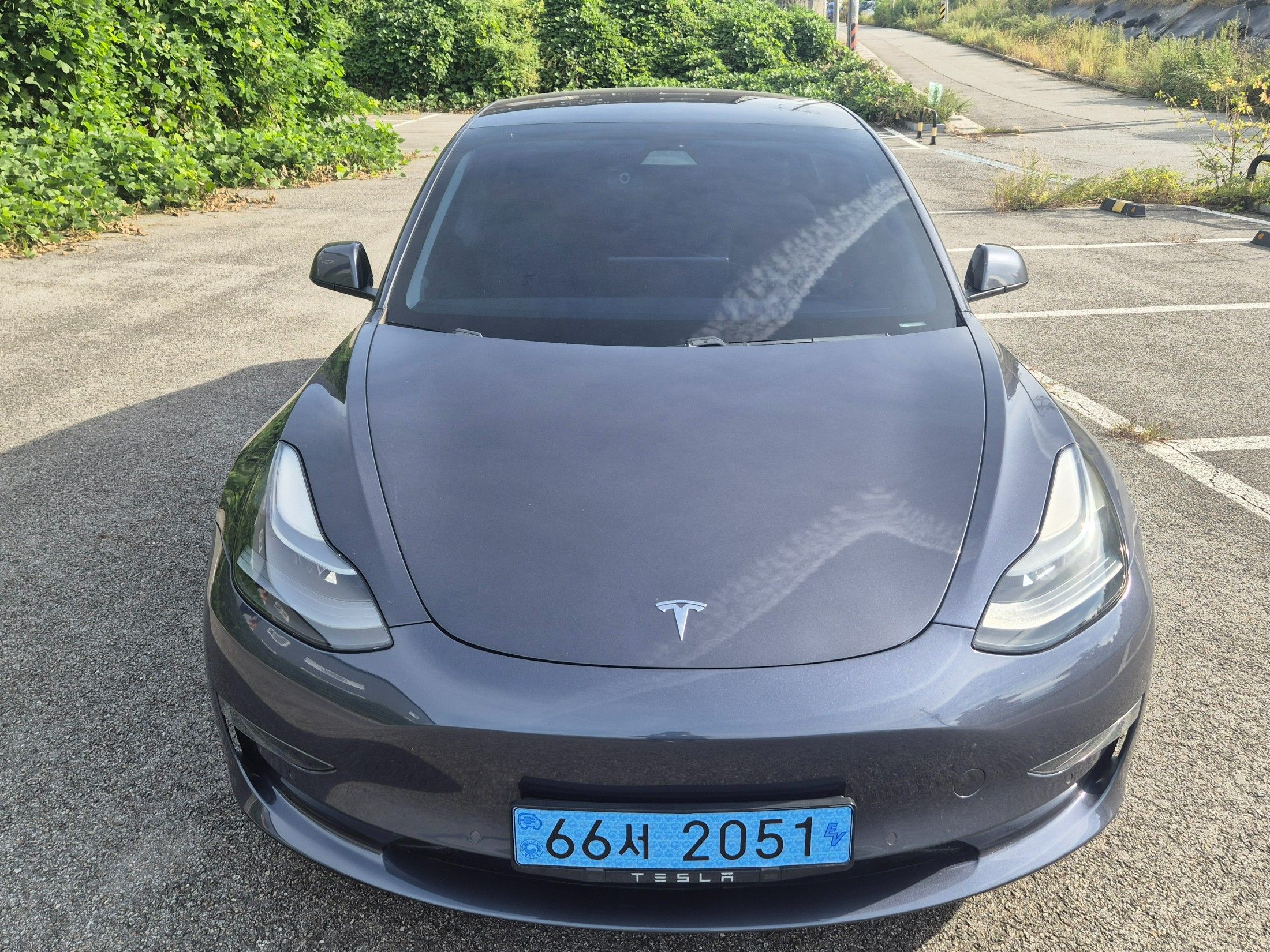 TESLA MODEL 3 2021