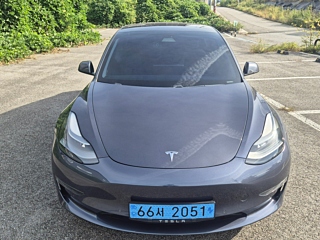 TESLA MODEL 3 2021