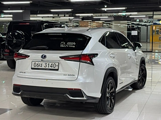 LEXUS NX300H 2019