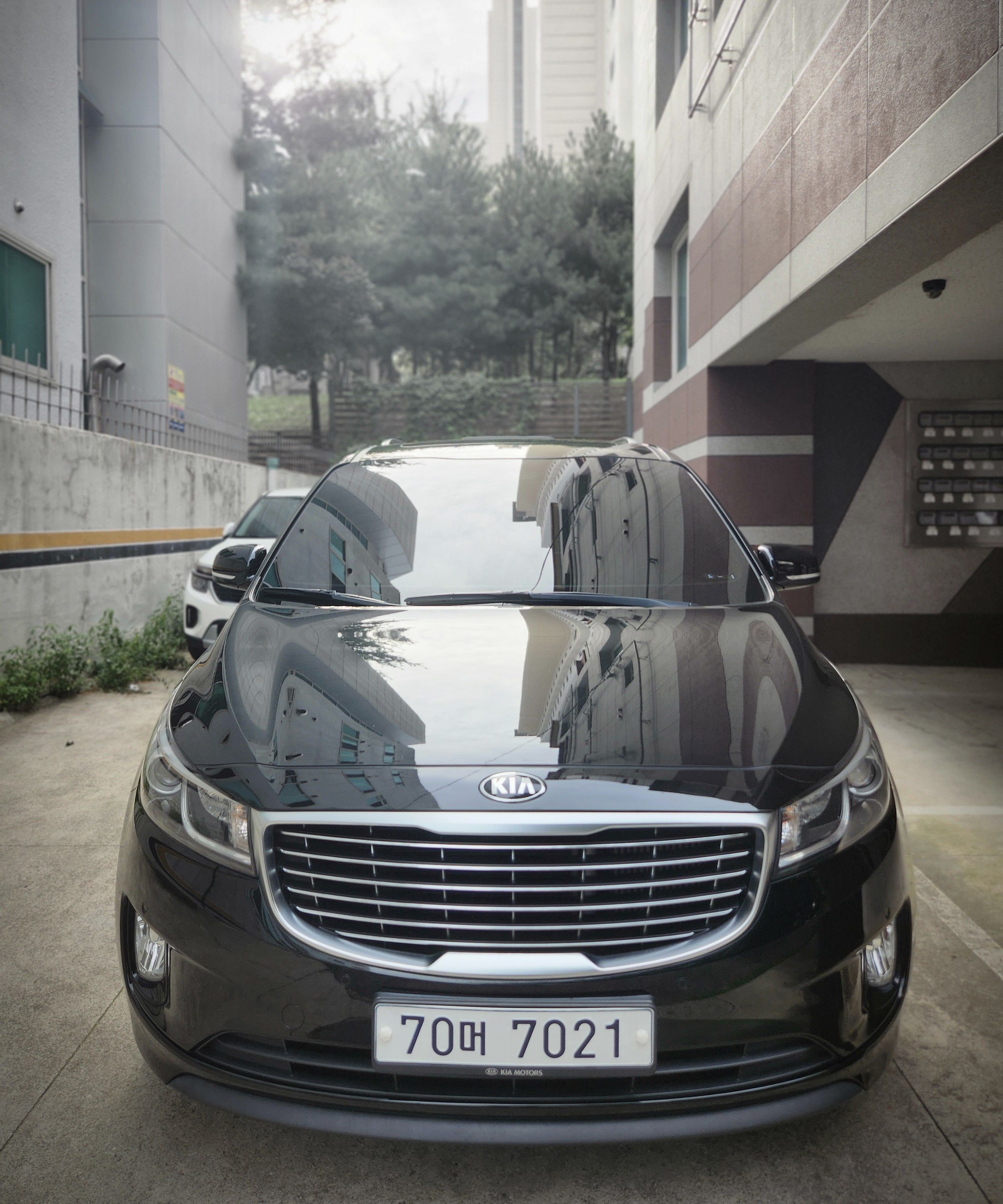 KIA CARNIVAL 2016