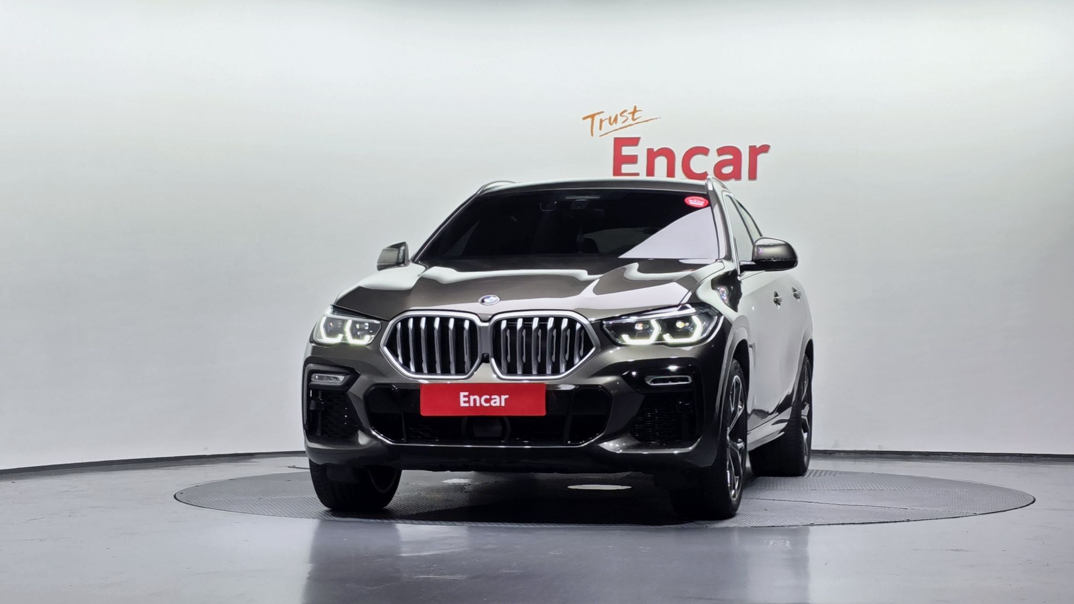 BMW X6 G06 2021