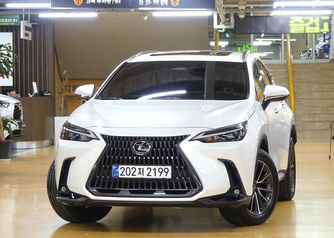 LEXUS NX450H+ 2025