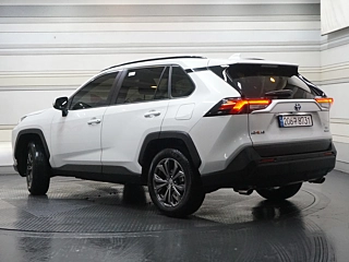 TOYOTA RAV4 2024