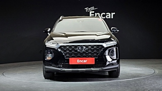 HYUNDAI SANTAFE TM 2019