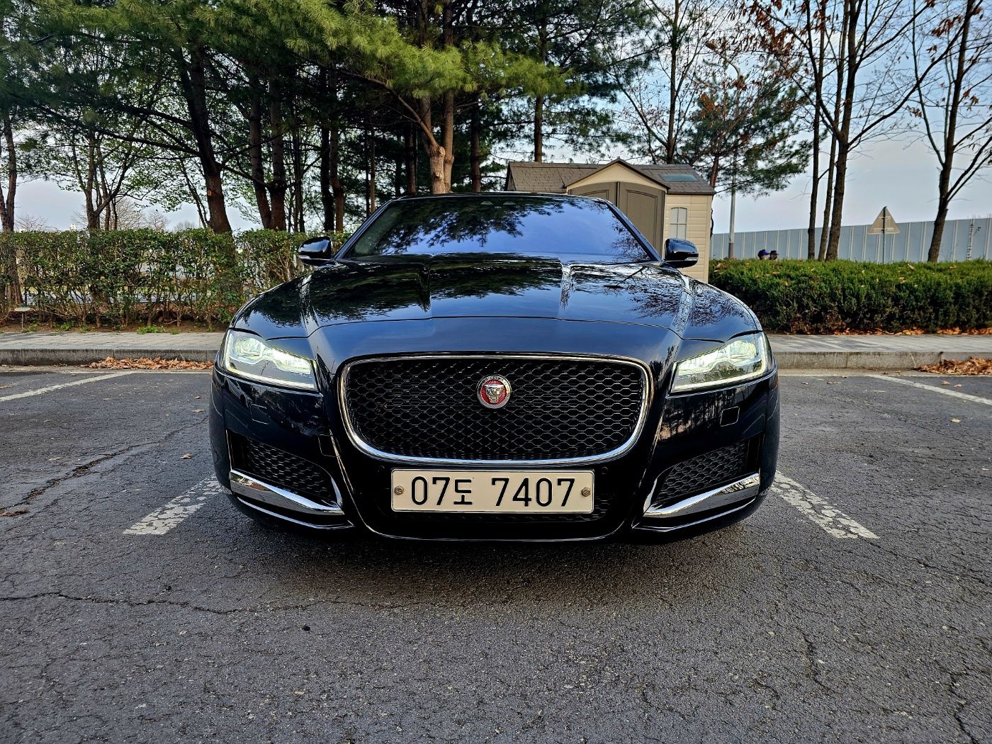 JAGUAR XF X260 2017