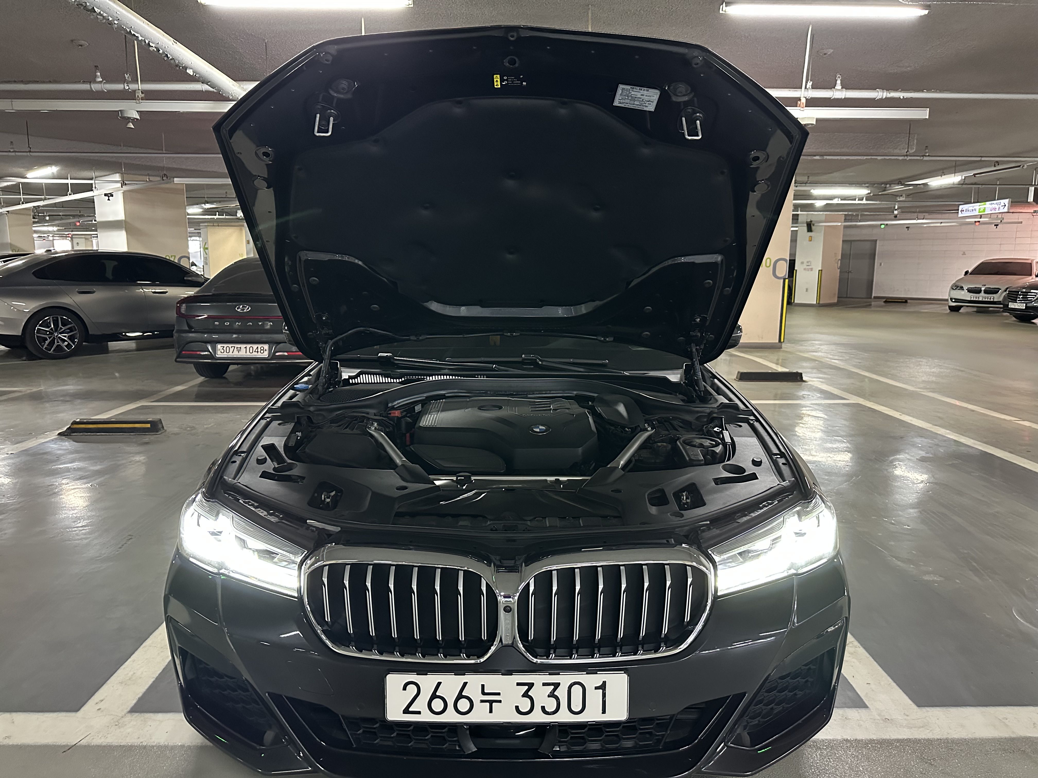 BMW 5-SERIES G30 2021
