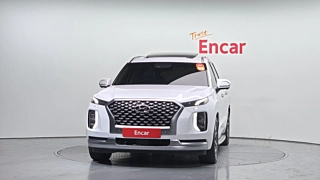 HYUNDAI PALISADE 2020