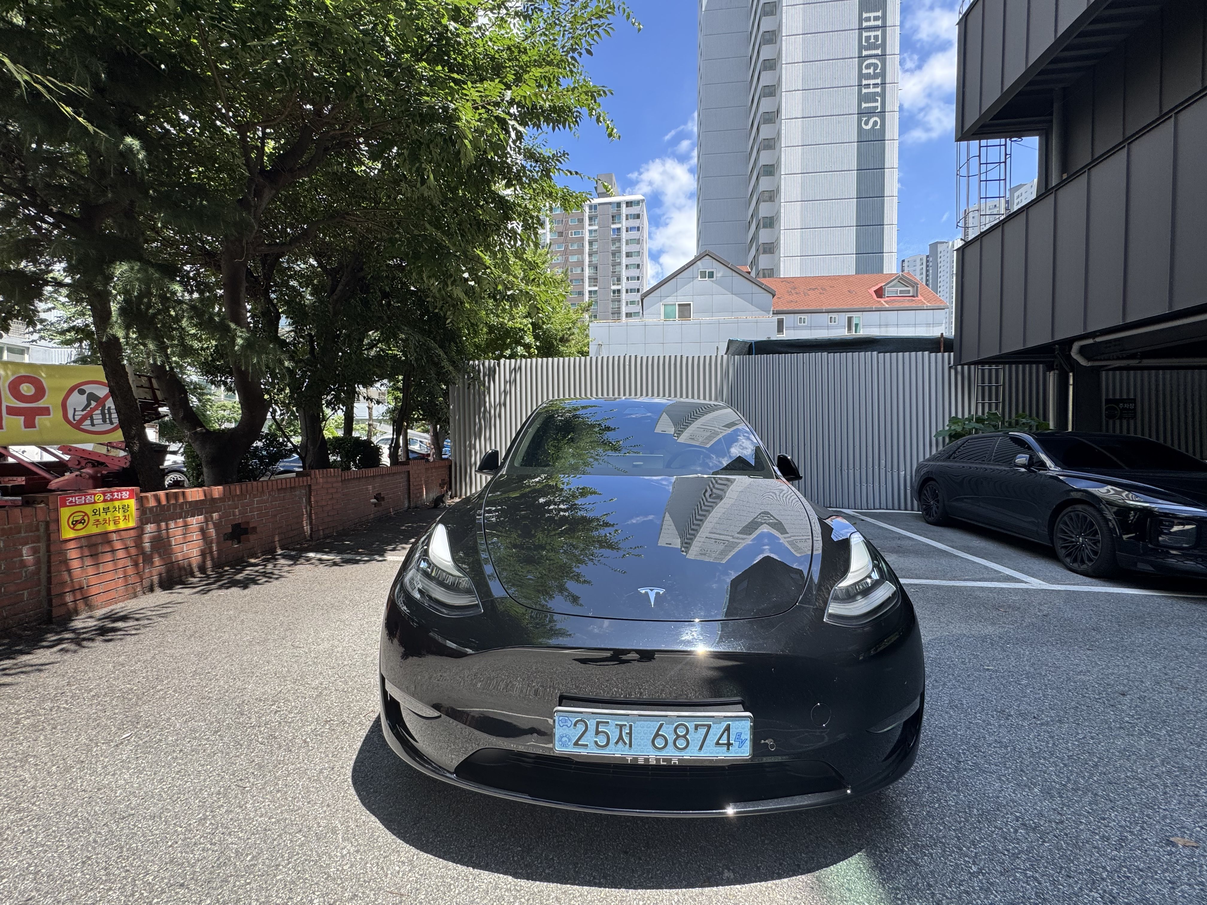 TESLA MODEL Y 2021