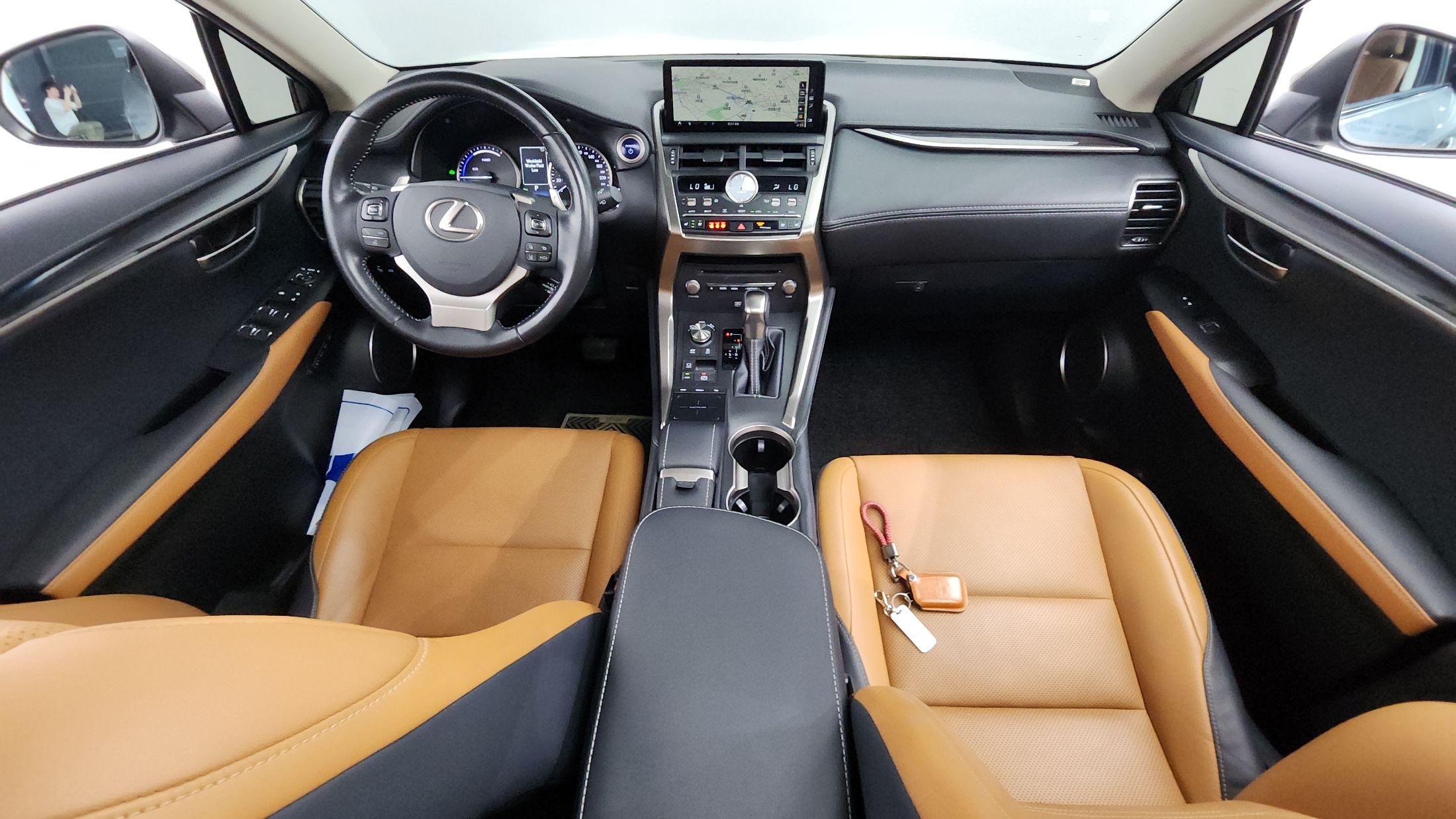 LEXUS NX300H 2019