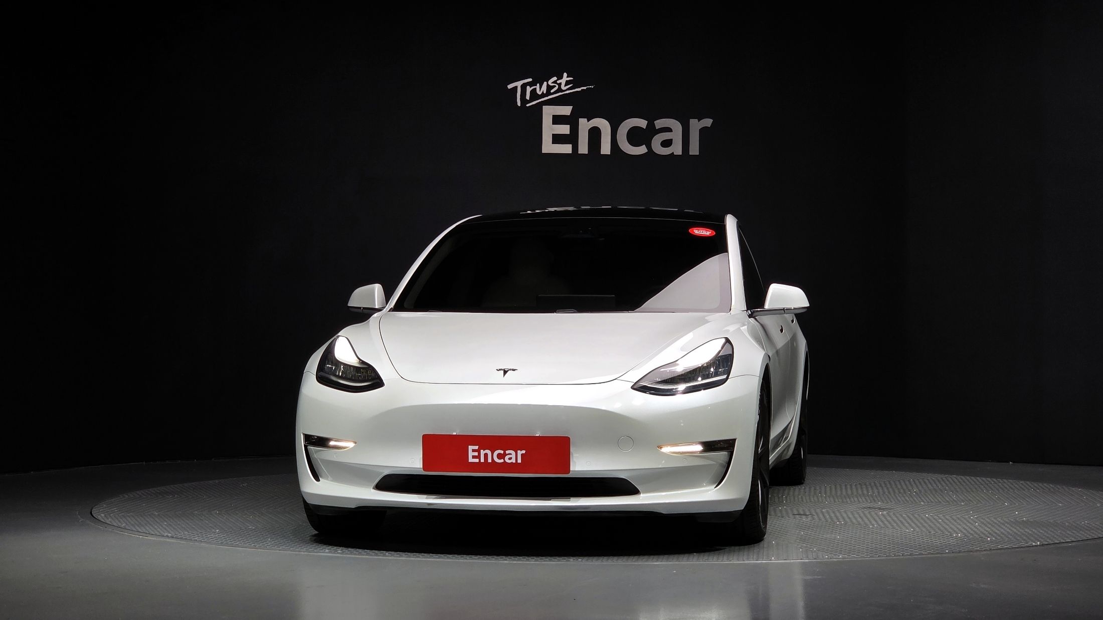 TESLA MODEL 3 2020