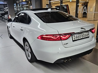JAGUAR XF X260  2019