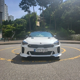 KIA STINGER MEISTER 2021