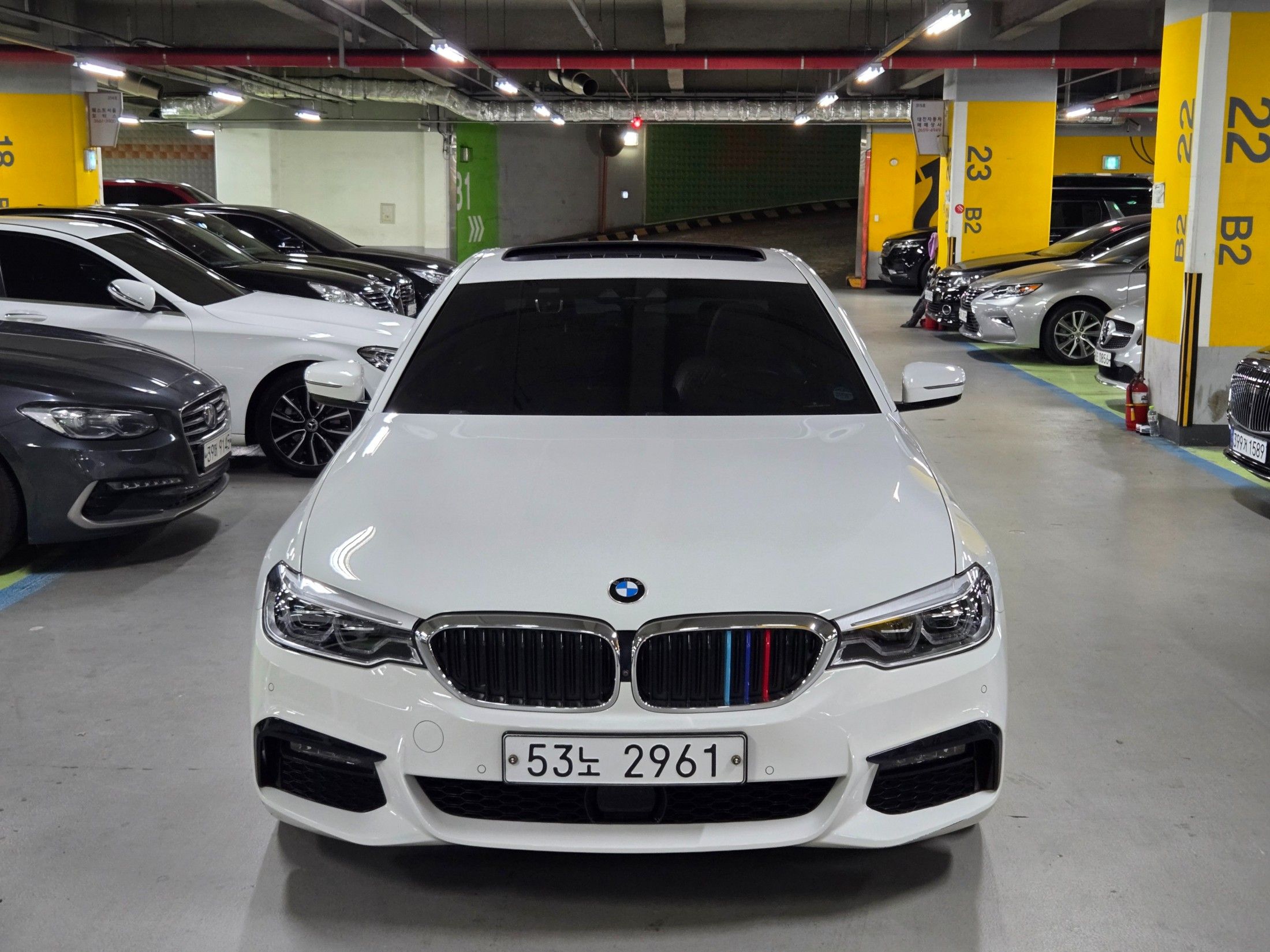BMW 5-SERIES G30 2019