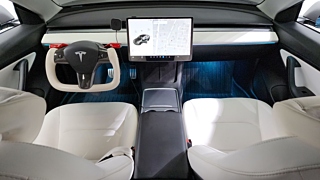 TESLA MODEL 3 2021