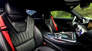 MERCEDES BENZ AMG GT 2017