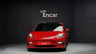 TESLA MODEL 3 2020