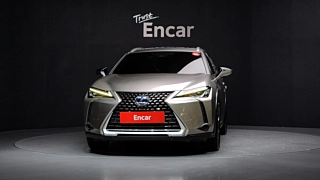 LEXUS UX250H 2019
