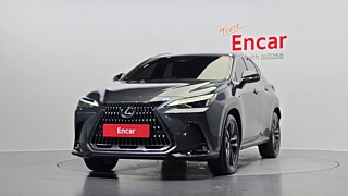 LEXUS NX350H 2024