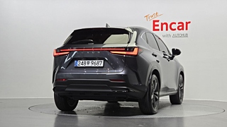 LEXUS NX350H 2024
