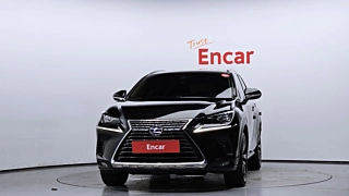 LEXUS NX300H 2019