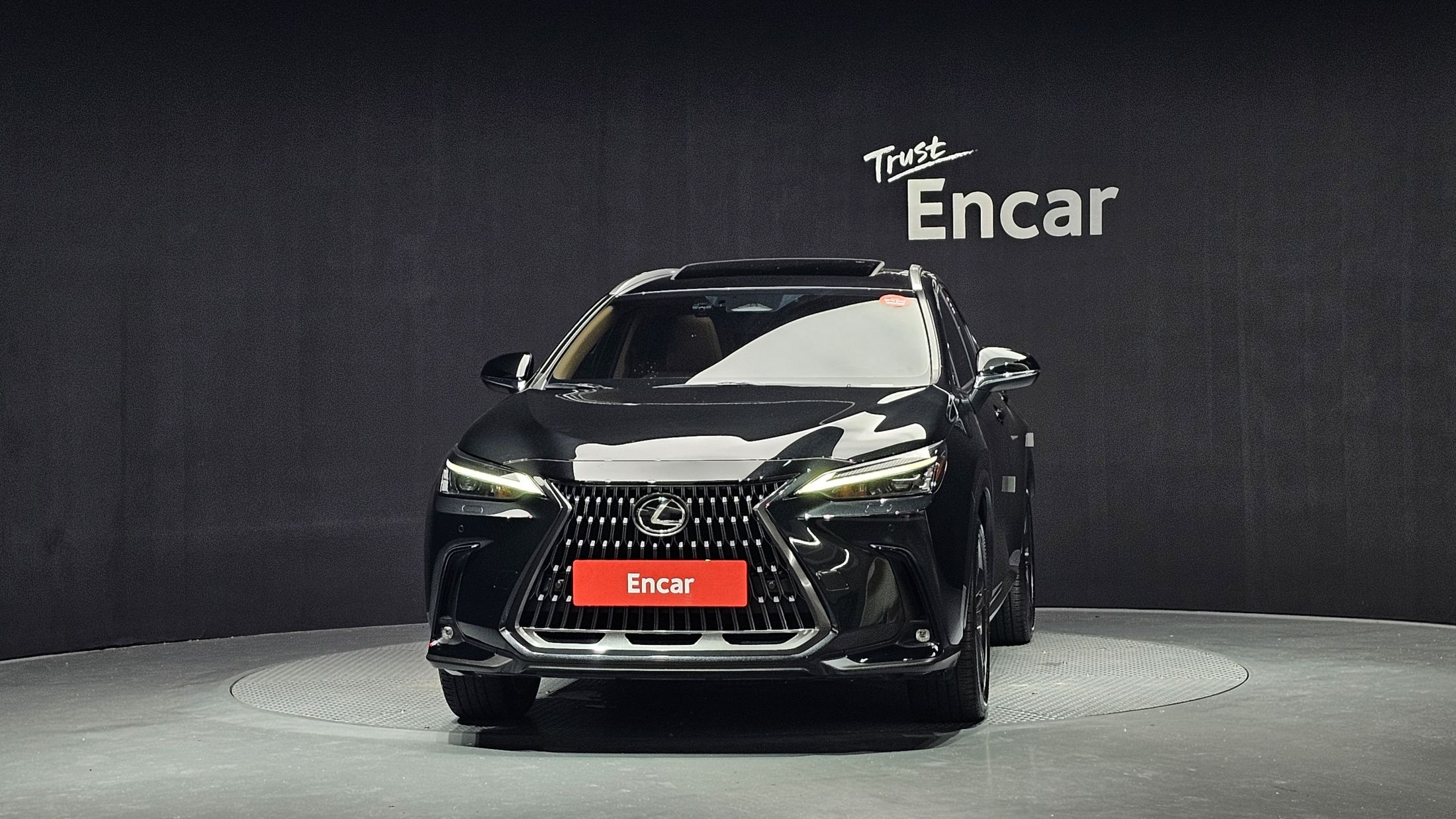 LEXUS NX350H 2023