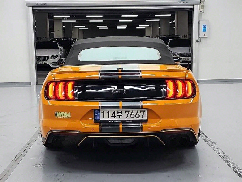 FORD MUSTANG 2019
