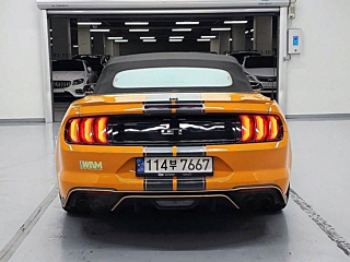FORD MUSTANG 2019