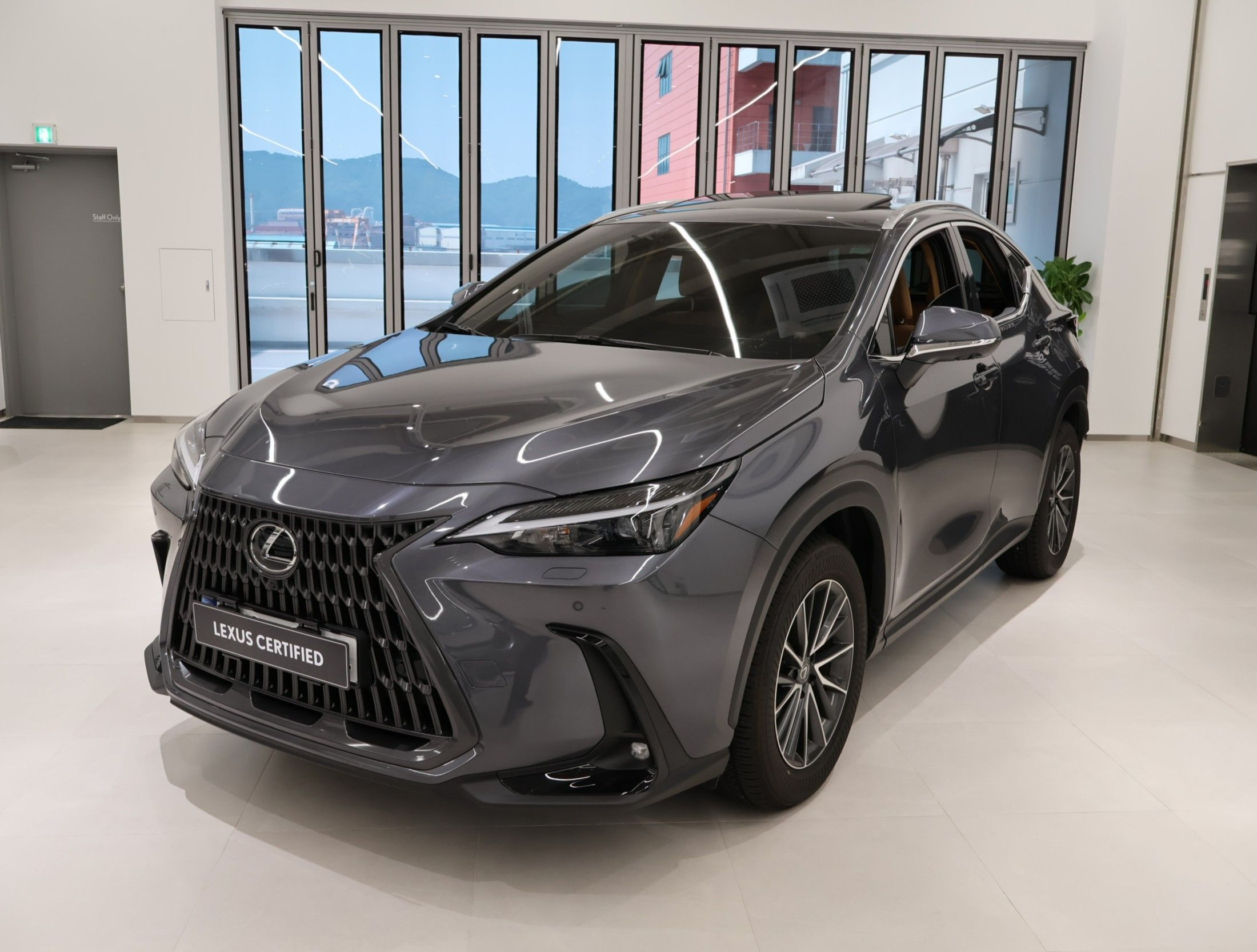 LEXUS NX450H+ 2024