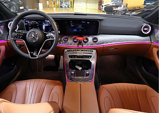 MERCEDES BENZ CLS-CLASS C257 2022