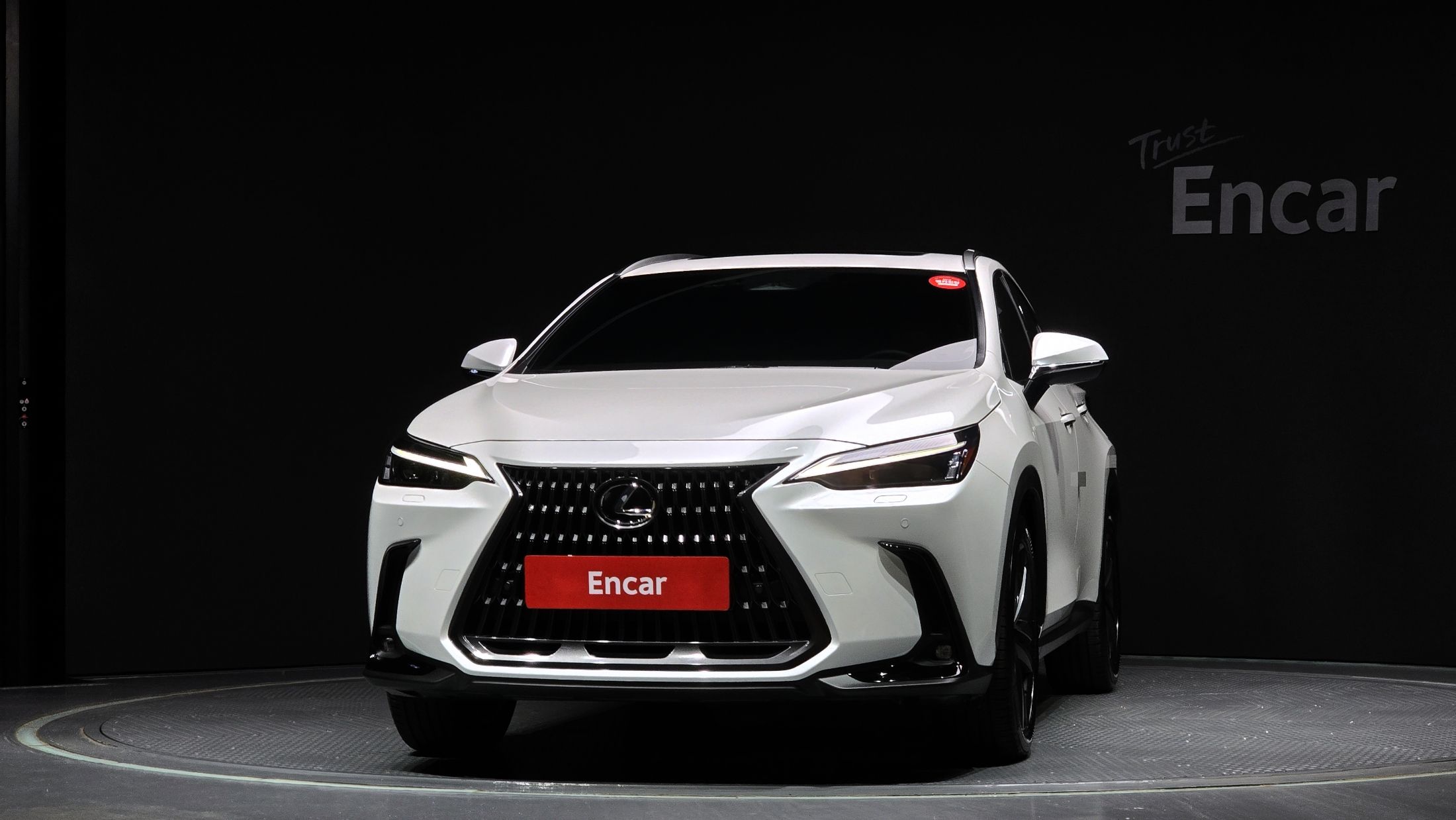 LEXUS NX350H 2024