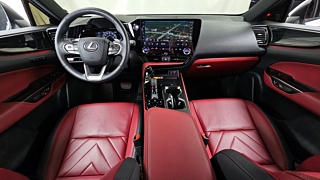 LEXUS NX350H 2024