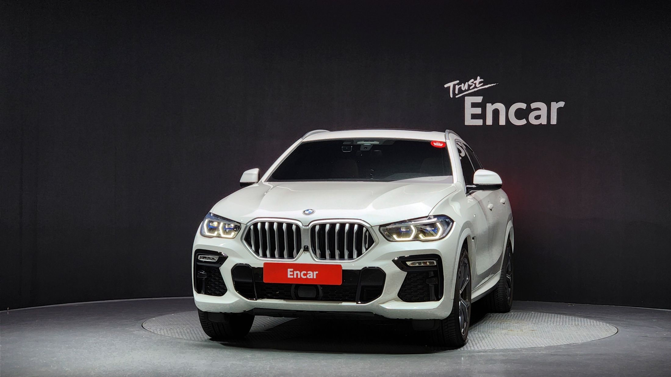 BMW X6 G06 2021