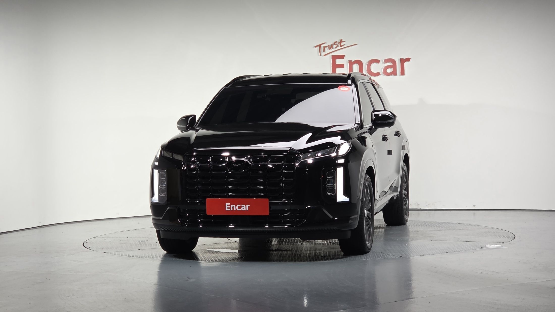 HYUNDAI PALISADE 2024
