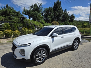 HYUNDAI SANTAFE TM 2019