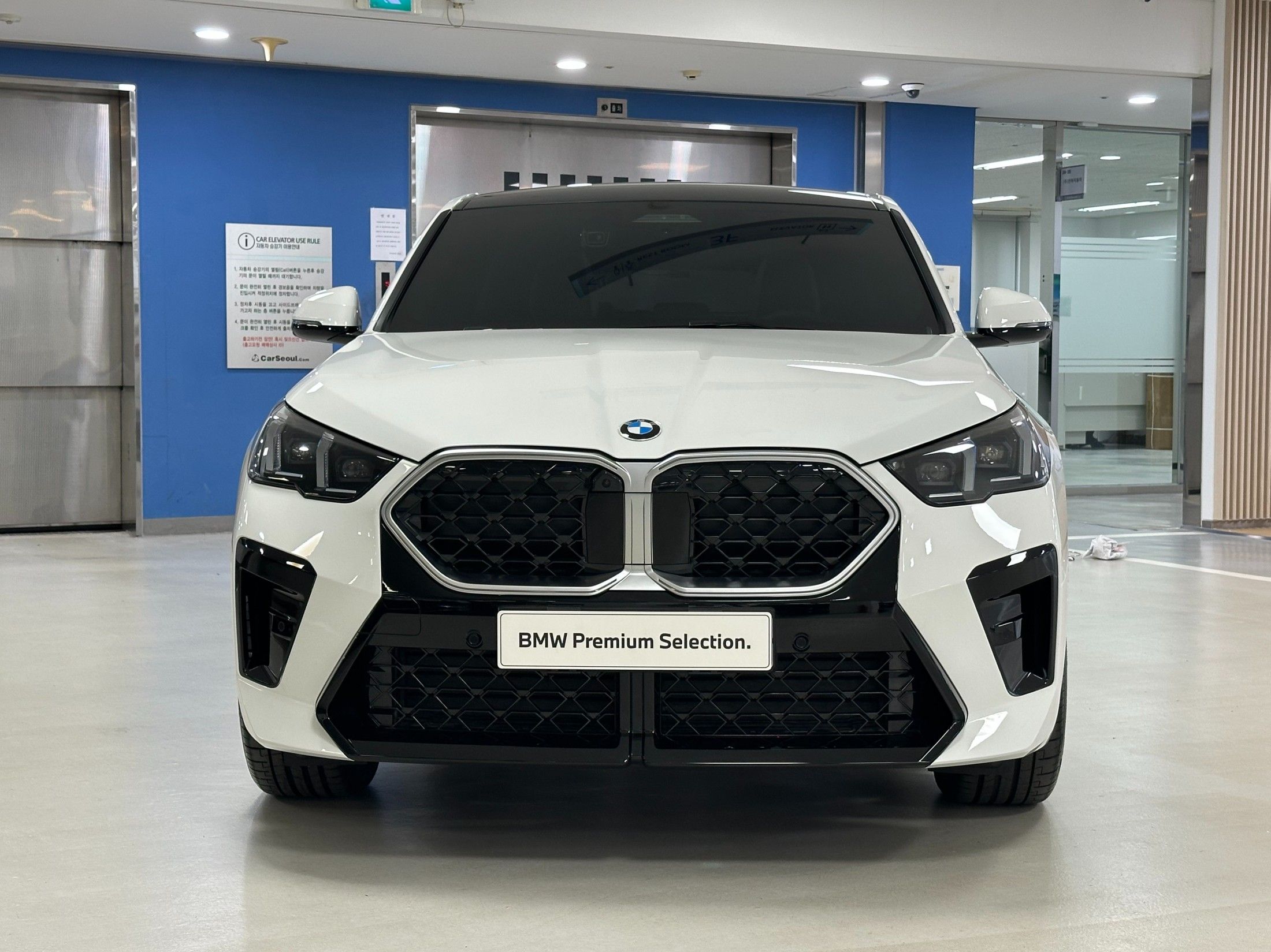 BMW X2 F39 U10 2024