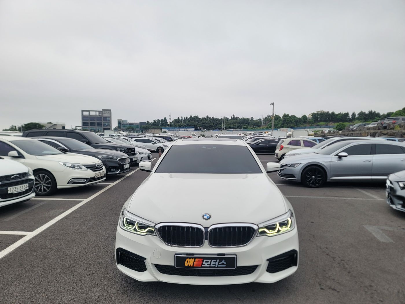 BMW 5-SERIES G30 2020