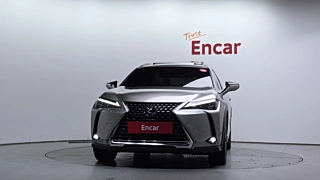 LEXUS UX250H 2019
