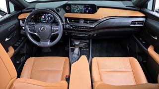 LEXUS UX250H 2019