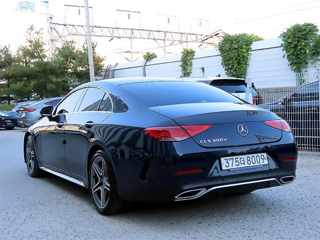 MERCEDES BENZ CLS-CLASS C257 2019