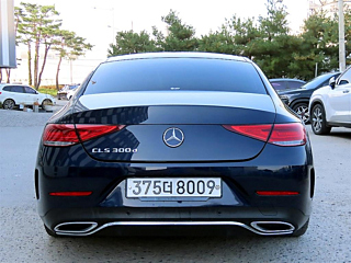 MERCEDES BENZ CLS-CLASS C257 2019