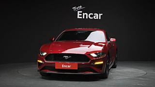 FORD MUSTANG  2019