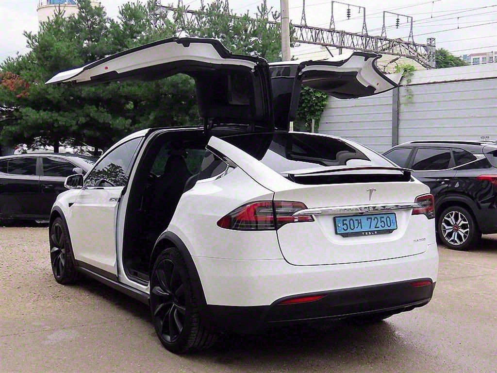 TESLA MODEL X 2019