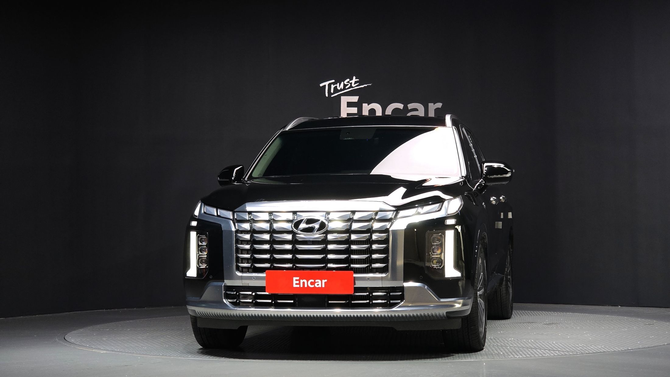 HYUNDAI PALISADE 2024