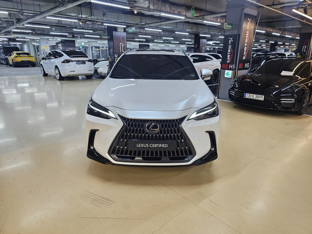 LEXUS NX350H 2023