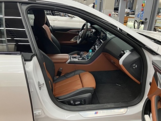 BMW 8-SERIES G15 2025