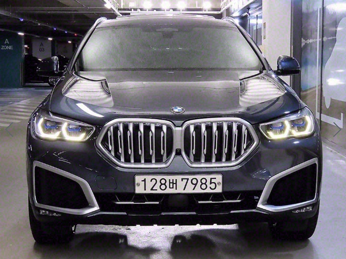 BMW X6 G06 2020